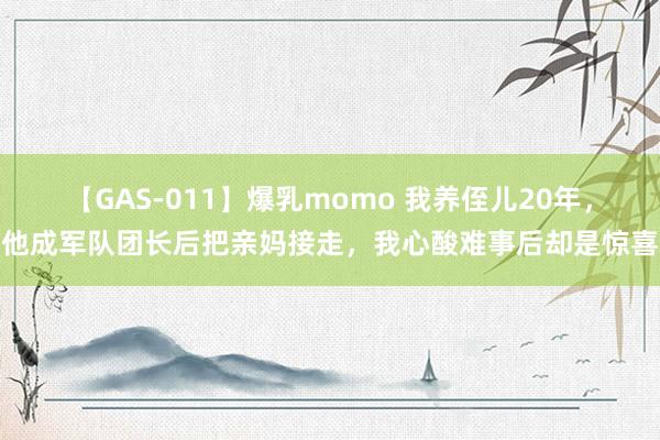 【GAS-011】爆乳momo 我养侄儿20年，他成军队团长后把亲妈接走，我心酸难事后却是惊喜