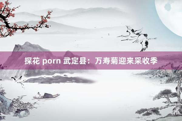 探花 porn 武定县：万寿菊迎来采收季