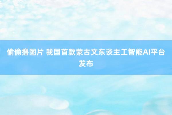 偷偷撸图片 我国首款蒙古文东谈主工智能AI平台发布