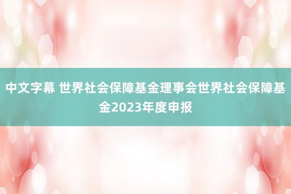 中文字幕 世界社会保障基金理事会世界社会保障基金2023年度申报