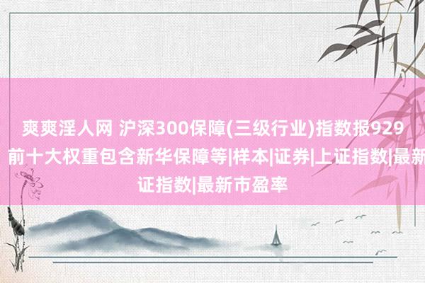 爽爽淫人网 沪深300保障(三级行业)指数报929.95点，前十大权重包含新华保障等|样本|证券|上证指数|最新市盈率