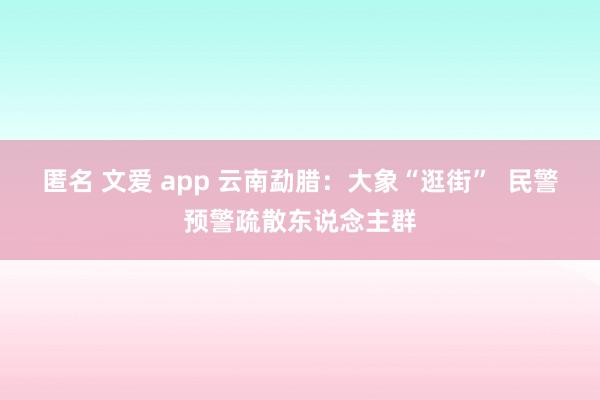 匿名 文爱 app 云南勐腊：大象“逛街”  民警预警疏散东说念主群