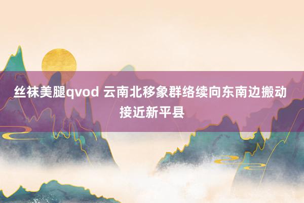 丝袜美腿qvod 云南北移象群络续向东南边搬动 接近新平县