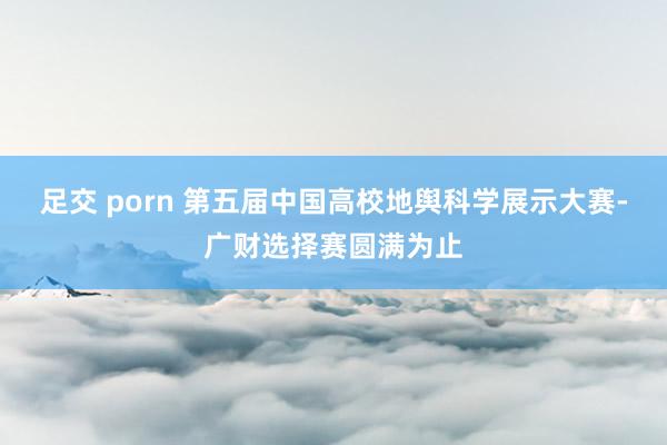 足交 porn 第五届中国高校地舆科学展示大赛-广财选择赛圆满为止