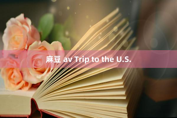 麻豆 av Trip to the U.S.