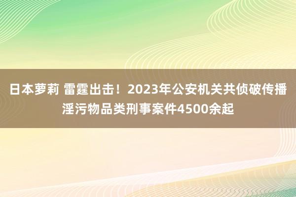 日本萝莉 雷霆出击！2023年公安机关共侦破传播淫污物品类刑事案件4500余起