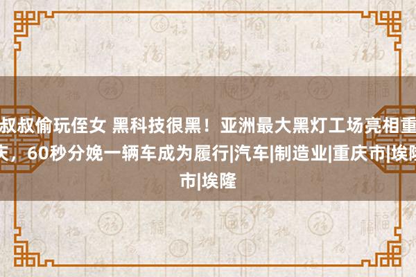 叔叔偷玩侄女 黑科技很黑！亚洲最大黑灯工场亮相重庆，60秒分娩一辆车成为履行|汽车|制造业|重庆市|埃隆