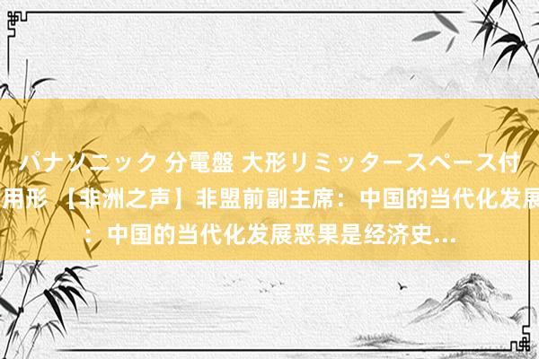 パナソニック 分電盤 大形リミッタースペース付 露出・半埋込両用形 【非洲之声】非盟前副主席：中国的当代化发展恶果是经济史...