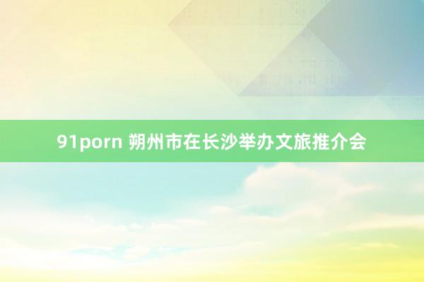 91porn 朔州市在长沙举办文旅推介会